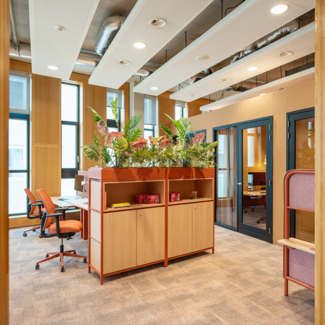 https://alternativ.nl/wp-content/uploads/2026/06/MG_00747-1-640x640.jpg